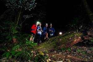 BIB: 3585, 
                            <button type="button" onclick="openModal(15973653)" class="btn btn-primary btn-sm float-right btn-popup" data-toggle="modal" data-target=".modal-high-quality">
                        <i class="fas fa-shopping-cart"></i> Add to Cart
                    </button>
                                            <button type="button" onclick="isThisMe(15973653, true)" class="btn btn-success btn-sm float-right btn-popup btn-isme hidden" data-toggle="tooltip" data-placement="bottom" title="นี่คือรูปของคุณใช่ไหม คลิกที่นี่เพื่อเอาเข้าอัลบั้ม">
                        <i class="fas fa-plus"></i> Add to album
                    </button>
                    <button type="button" onclick="isThisMe(15973653, false)" class="btn btn-warning btn-sm float-right btn-popup btn-isnotme hidden">
                        <i class="fas fa-ban"></i> Remove from album
                    </button>